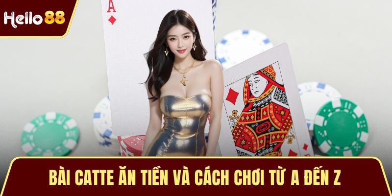 Bài Catte Ăn Tiền Và Cách Chơi Từ A Đến Z Dành Cho Newbie