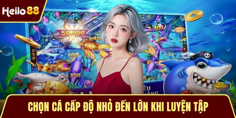 Chọn cá cấp độ nhỏ đến lớn khi luyện tập