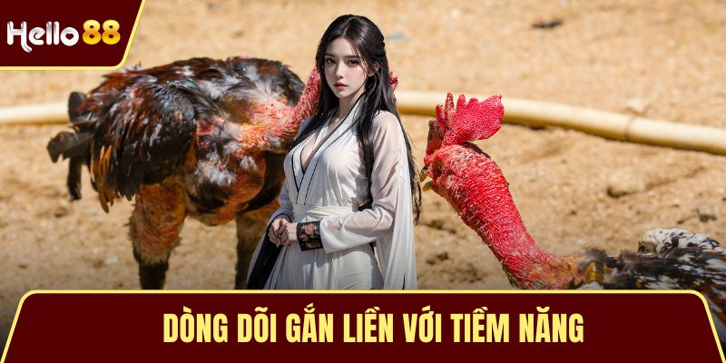 Dòng dõi gắn liền với tiềm năng