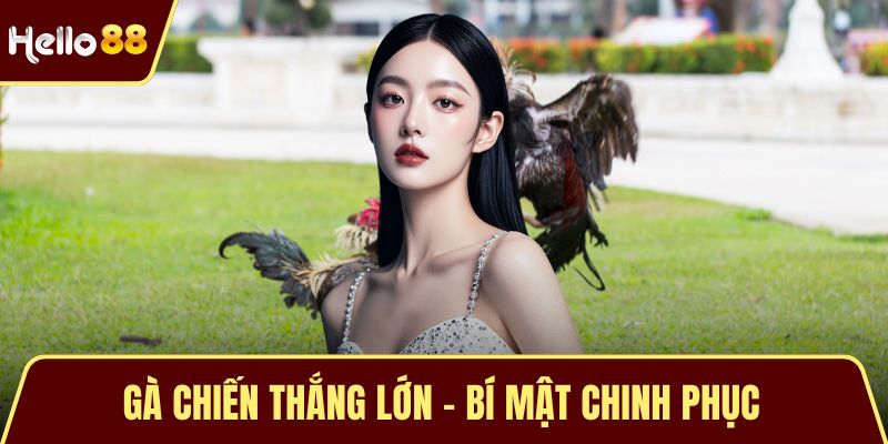 Gà Chiến Thắng Lớn - Bí Mật Chinh Phục Đấu Trường Thomo