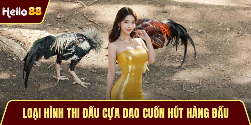 Loại hình thi đấu cựa dao cuốn hút hàng đầu