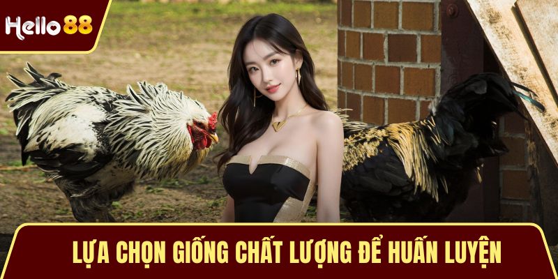Lựa chọn giống chất lượng để huấn luyện