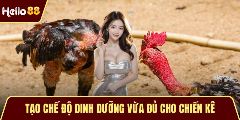 Tạo chế độ dinh dưỡng vừa đủ cho chiến kê